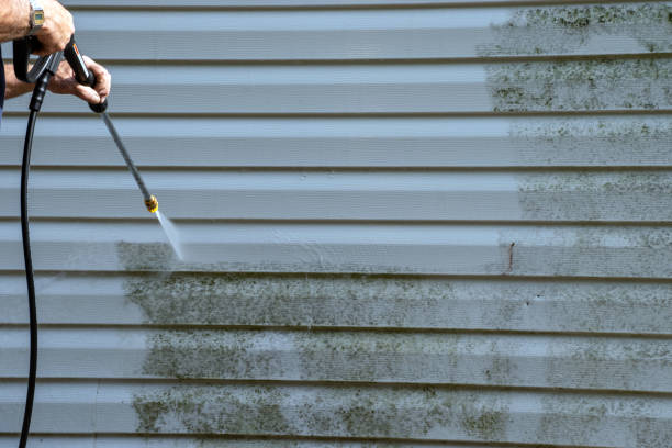 Best Yard Waste Removal  in Indianola, MS
